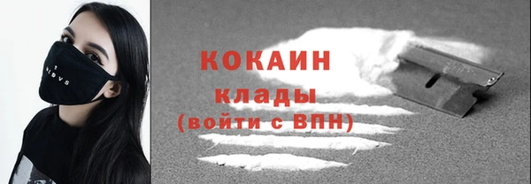 ГАЛЛЮЦИНОГЕННЫЕ ГРИБЫ Арсеньев