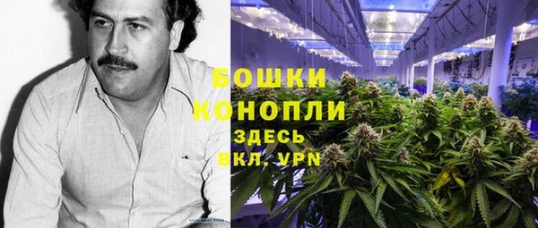ГАЛЛЮЦИНОГЕННЫЕ ГРИБЫ Арсеньев