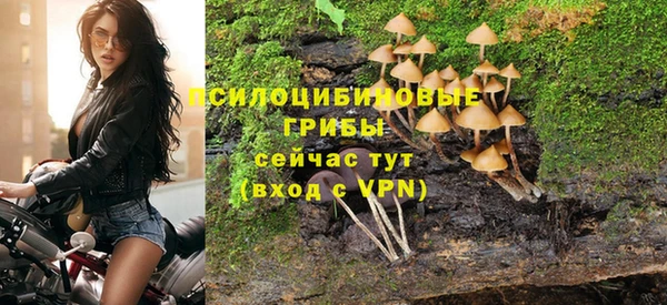 ГАЛЛЮЦИНОГЕННЫЕ ГРИБЫ Арсеньев
