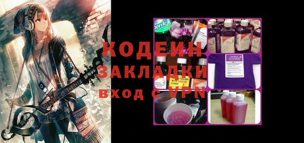 ГАЛЛЮЦИНОГЕННЫЕ ГРИБЫ Арсеньев