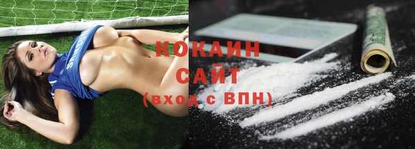 ГАЛЛЮЦИНОГЕННЫЕ ГРИБЫ Арсеньев